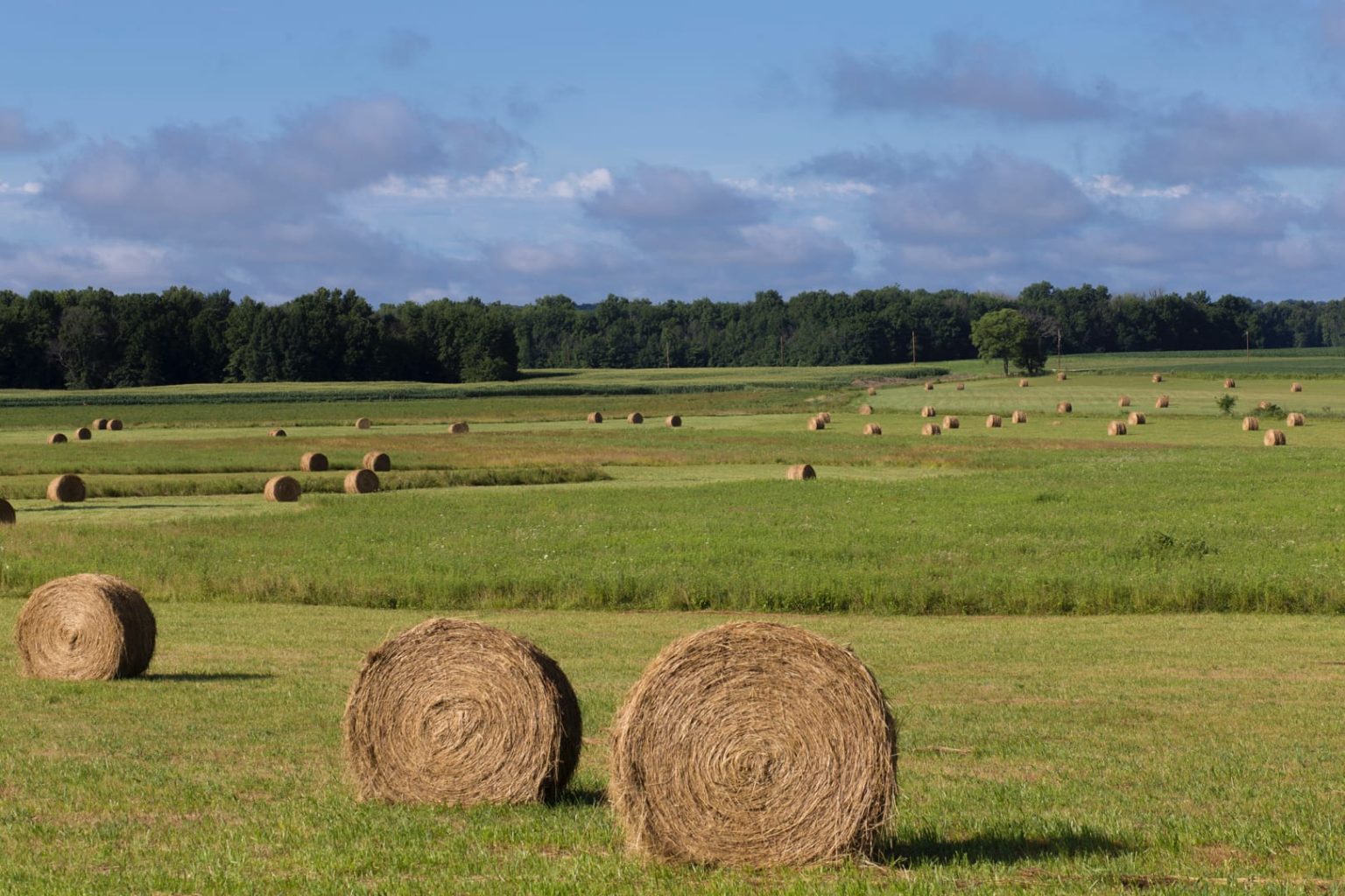 Hay Buy & Sell Roberston Agricultural Contracting